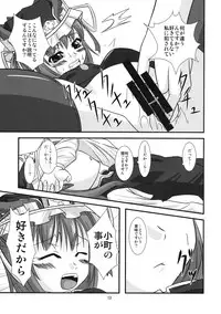 [Endless Requiem] 主従反転 (Touhou)