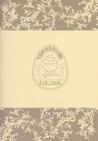 (C87) [Tamagohan (Saitou Miya)] Shoukaku Zuikaku no Gohoushi Maintenance (Kantai Collection -KanColle-)