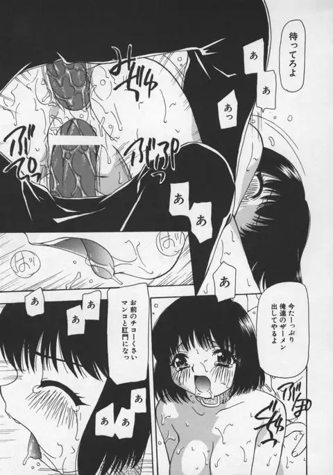 Cats On The Black Cage