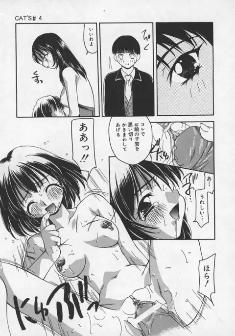 Cats On The Black Cage