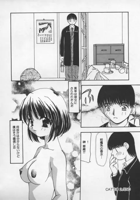 Cats On The Black Cage