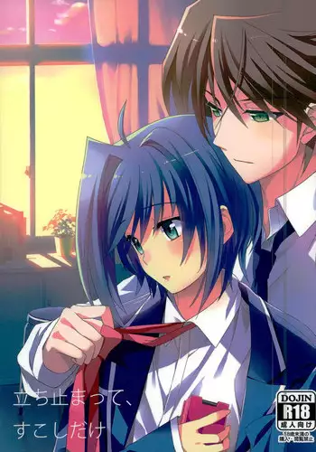 (C85) [Mitsuba no Hatsuga (Youu)] Tachidomatte, Sukoshi Dake (Cardfight!! Vanguard)