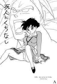 [Chirigami Goya / Fusuma Goten] Y (Dragonball)