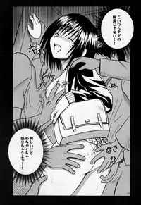 [Crimson Comics (Carmine)] Gokurakuchou (Black Cat)