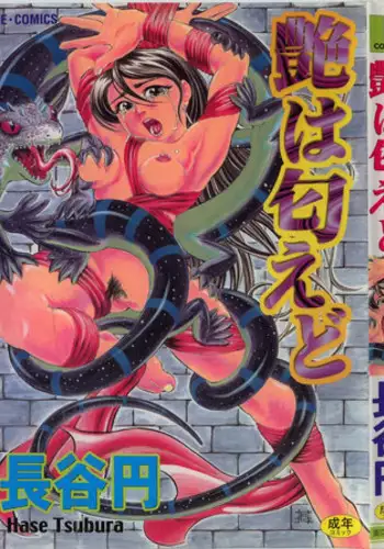 [Hase Tsubura] Iro wa Nioedo