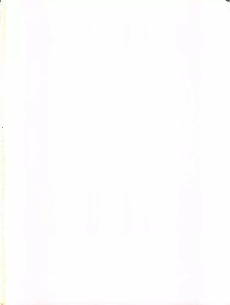 Imasara Nadia Tottemo Asuka vol. 1