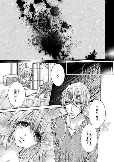 鬼畜兄弟の悶絶調教~私はいいなり奴隷~