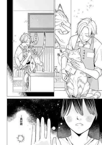 恋爱中的猫咪想被抚摸