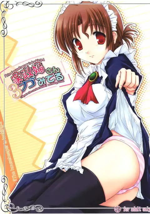 家政婦さんがみてる3