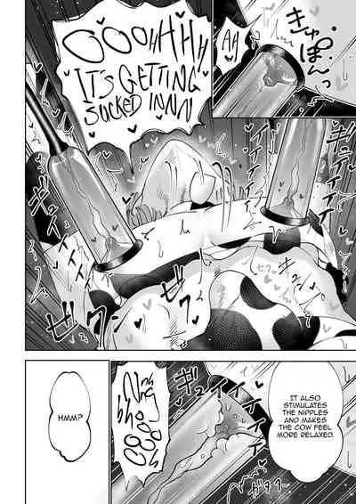 Bokujou Play Pink Blue | Ranch Play Pink Blue