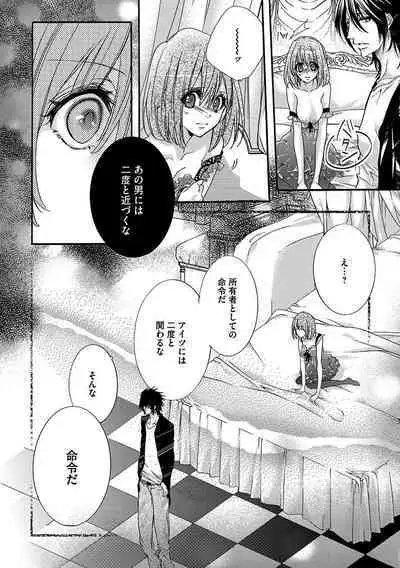 鬼畜兄弟の悶絶調教~私はいいなり奴隷~