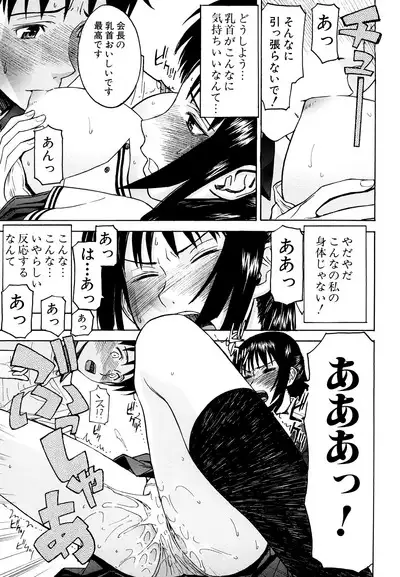 Itazura Senyou Hanahira Seitokaichou