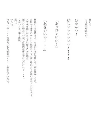 男の娘セーラー戦士W