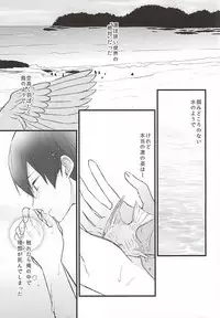 エンゼルフィッシュの羽根 (Free!)