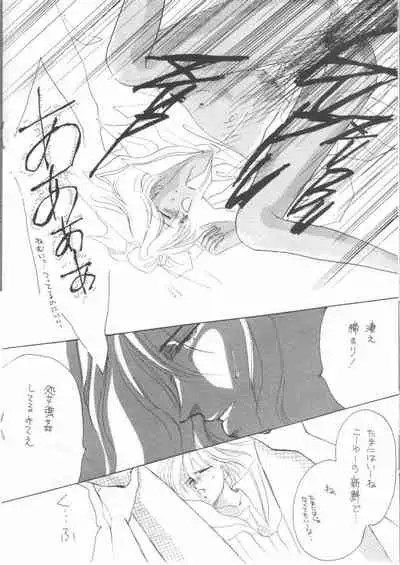 (C35) [Doll (Ozaki Minami)] Kirei (Captain Tsubasa)