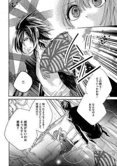 鬼畜兄弟の悶絶調教~私はいいなり奴隷~