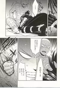 (C86) [LITHIUM (Yukimaru)] stray cat (One Punch Man)