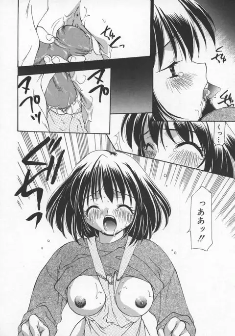 Cats On The Black Cage