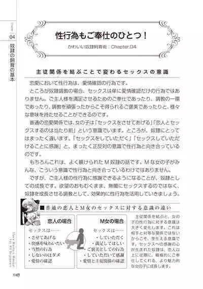 Zero kara Hajimeru SM Manual Kawaii Dorei Shiikujutsu