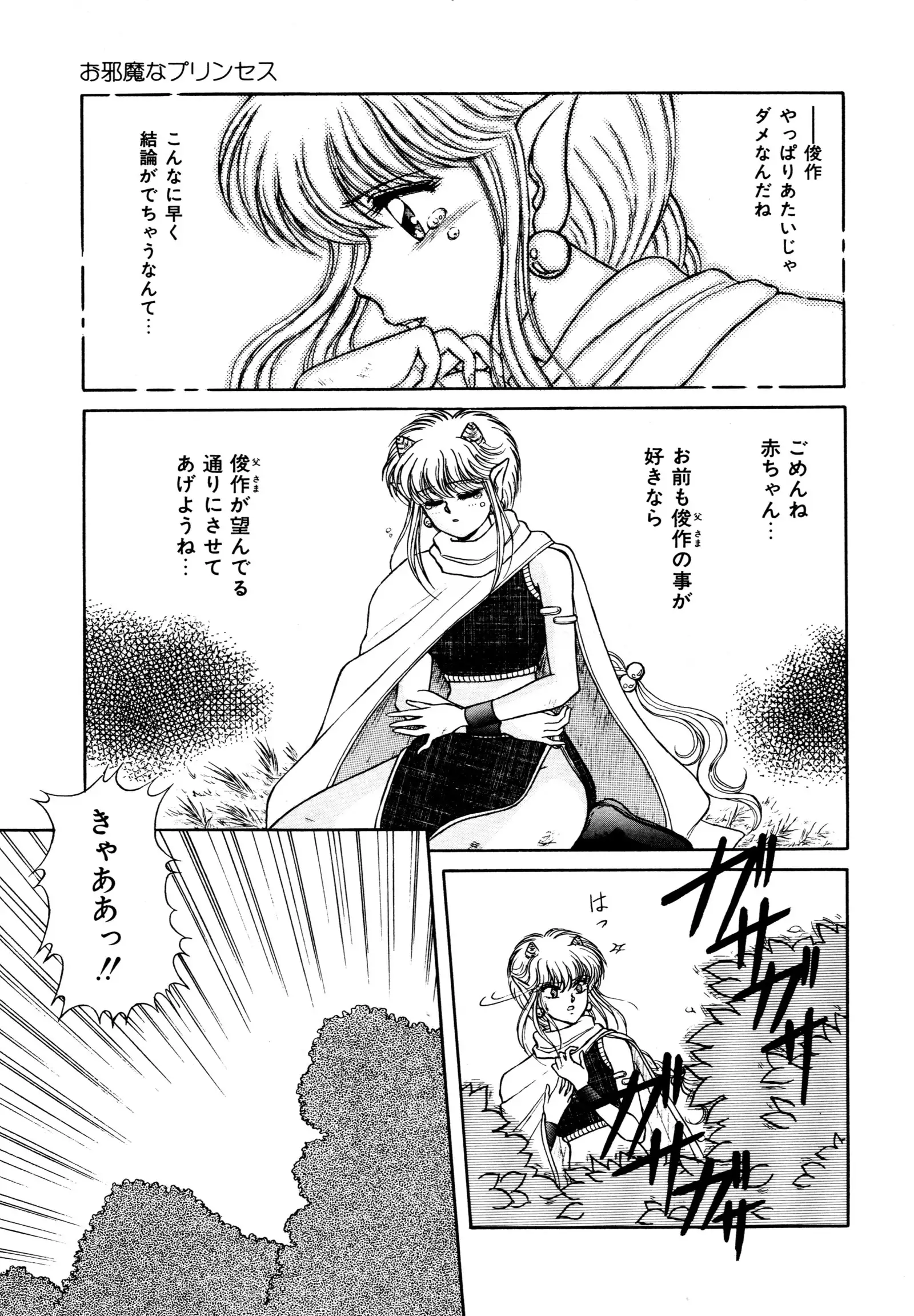 お邪魔なプリンセス