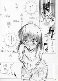 [MARUARAI] Mousou Shoujo (School Rumble)