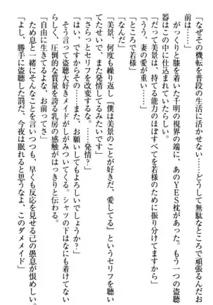年上メイドの新婚日記