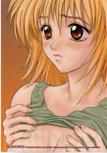 [L.S.P.] FLAVOR 03 (Kidou Senshi Gundam SEED)