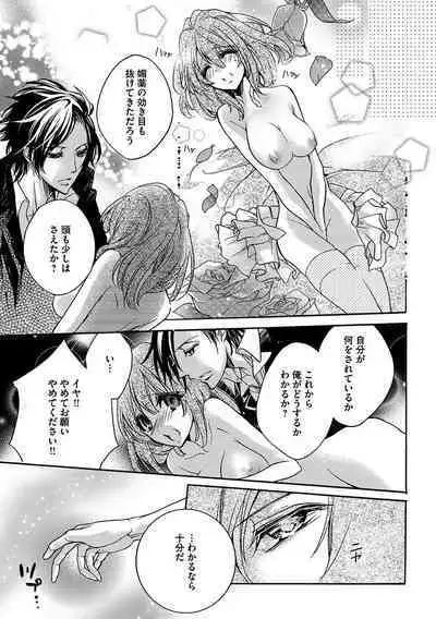 鬼畜兄弟の悶絶調教~私はいいなり奴隷~