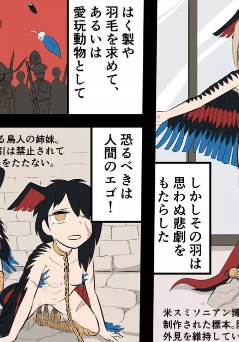 Kaibutsu Musume Studies - Monster Girl Studies