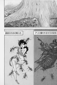 [Kondom] Bondage Fairies Vol. 3