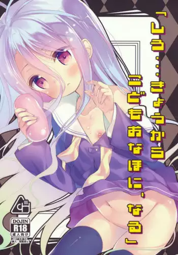 (C86) [Cocoa Holic (Yuizaki Kazuya)] "Shiro... Kyou kara Kodomo Onaho ni, Naru" | Starting Today, Shiro becomes a Loli Onahole (No Game No Life) [English] [PSYN]