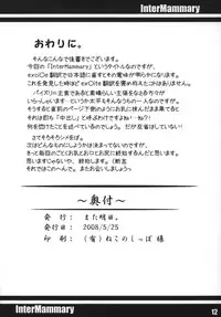 (Reitaisai 5) [Mata Ashita. (Oohira Sunset)] Inter Mammary (Touhou Project)