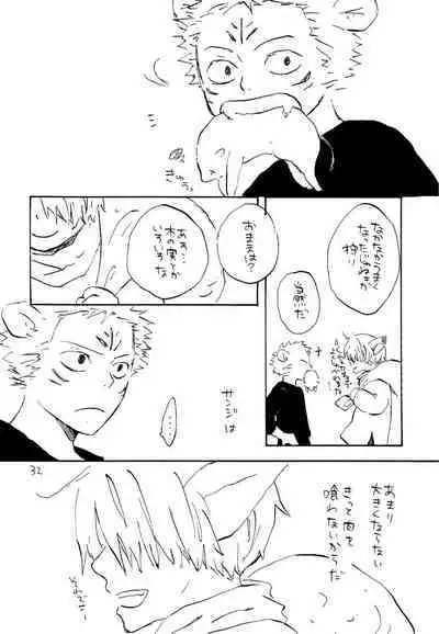 海の虹が沈む森