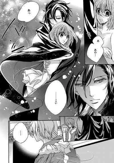 鬼畜兄弟の悶絶調教~私はいいなり奴隷~