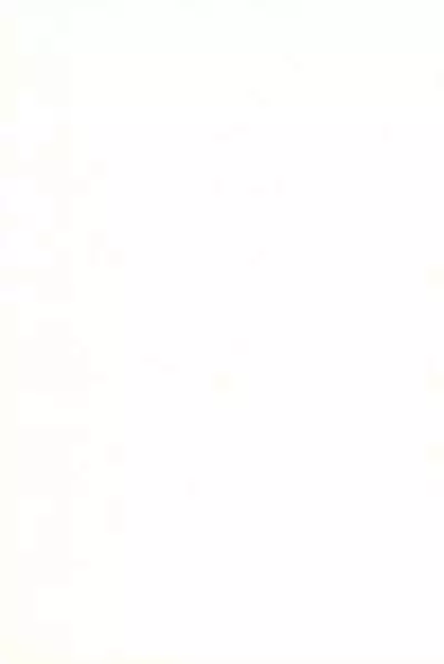 Momoiro Settoudan Vol. 2