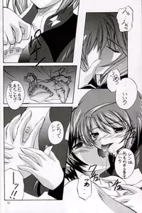 (C67) [Red Ribbon Revenger (Hayama, Makoushi)] Shouhou (Gundam Seed Destiny)