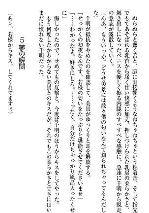 年上メイドの新婚日記