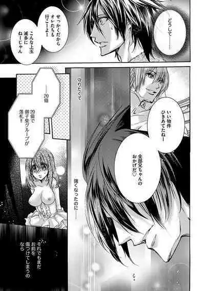 鬼畜兄弟の悶絶調教~私はいいなり奴隷~