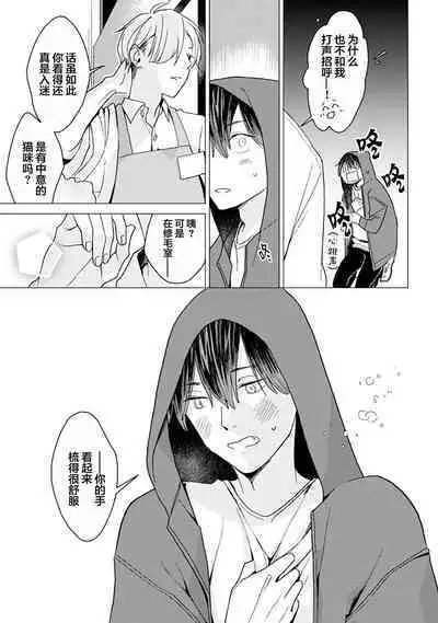 恋爱中的猫咪想被抚摸