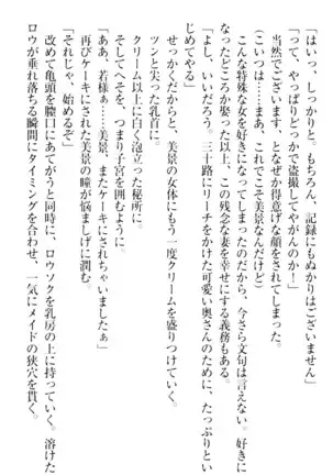 年上メイドの新婚日記