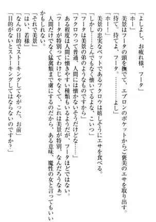 年上メイドの新婚日記