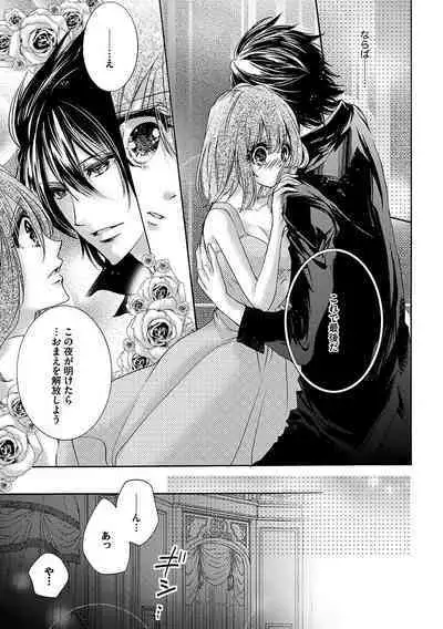 鬼畜兄弟の悶絶調教~私はいいなり奴隷~