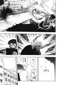 COMIC Megastore 2005-09