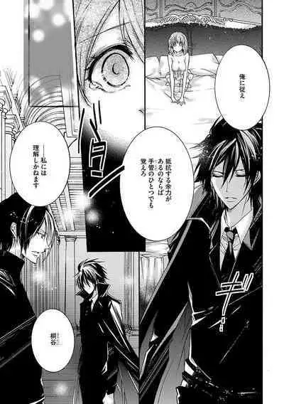 鬼畜兄弟の悶絶調教~私はいいなり奴隷~