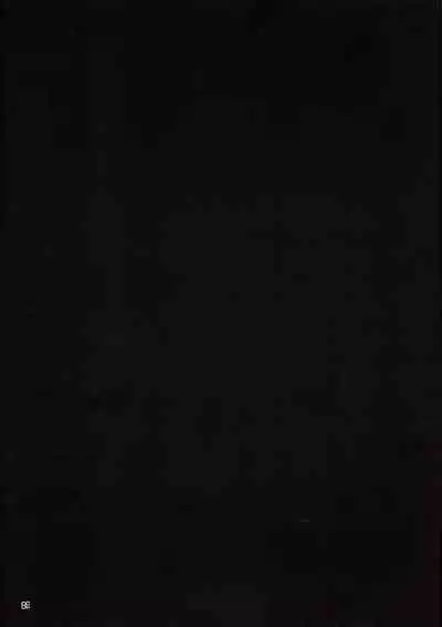 Chouwaku Rakuen Chousa Kiroku side:A