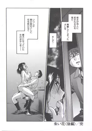 うしろのまなざし (全1巻)