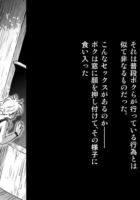 フェアリーセティ