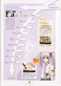 [設定資料集]SHUFFLE! Visual Fan Book