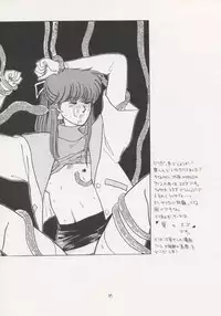 (C43) [Secret Society M (Kitahara Aki)] ANICE (Sonic Soldier Borgman)