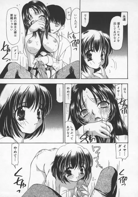 Cats On The Black Cage